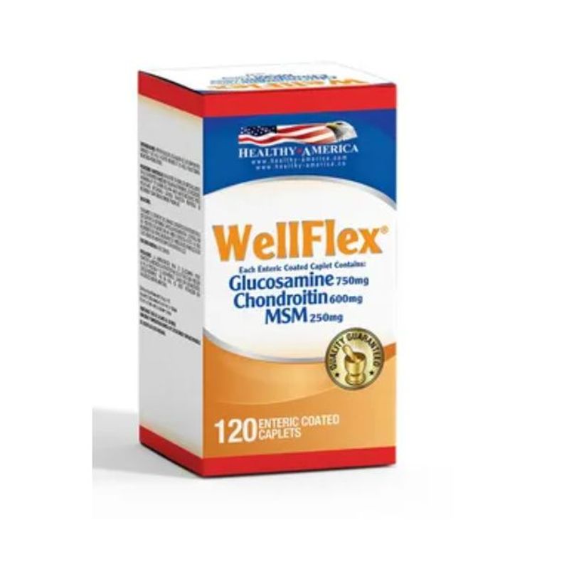 HEALTHY AMERICA - Wellflex Glucosamine Chondroitin X 120Cap - Healthy America