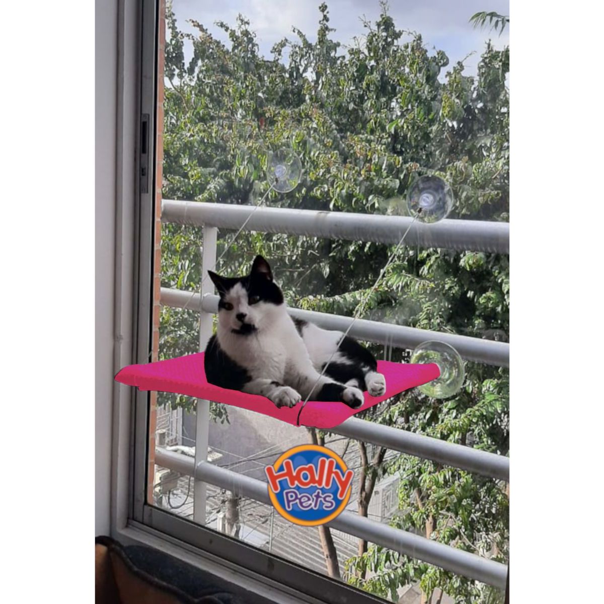 HALLY PET - Cama hamaca para gatos Rosado.