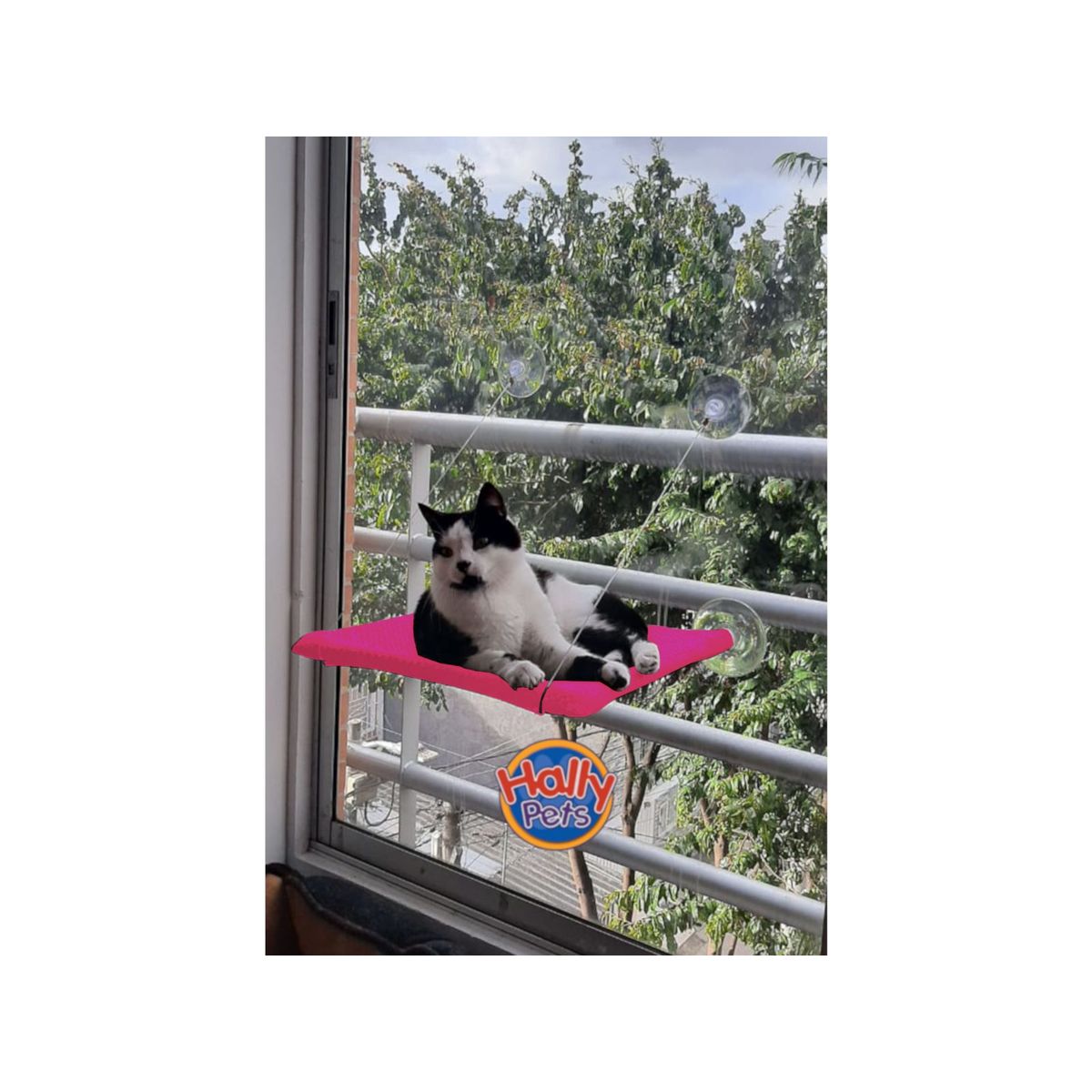 HALLY PET - Cama hamaca para gatos Rosado.