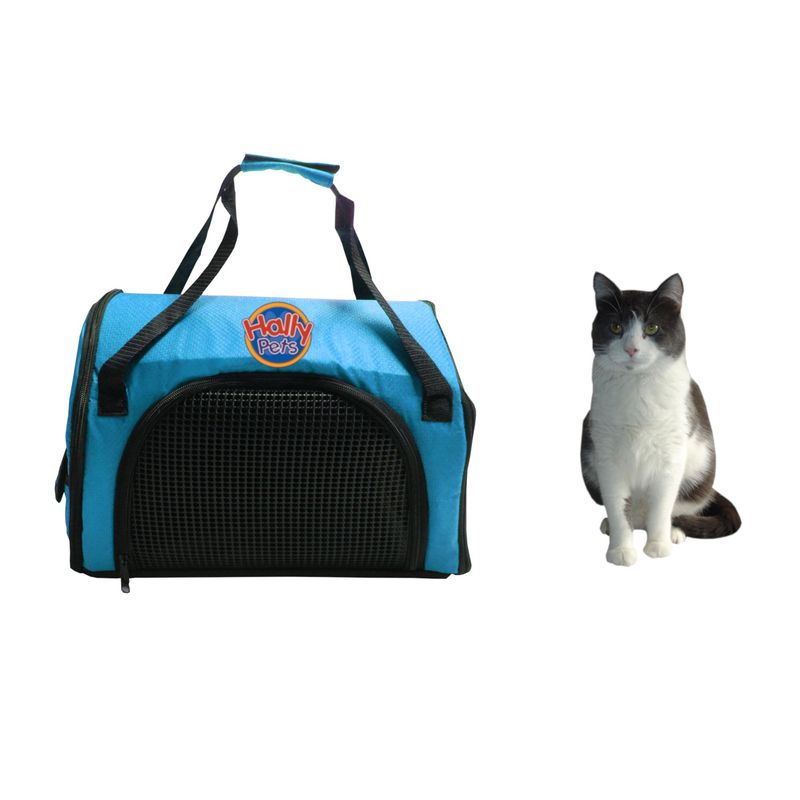 HALLY PET - Morral cargador cabina 41 cm x 27 cm x 24 cm Celeste.