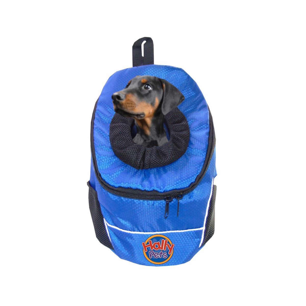 HALLY PET - Morral cargador ventana mediano 28 x 37 x 17 Azul Claro.