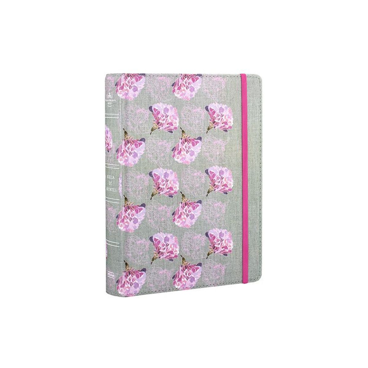 CLC EDITORIAL - Biblia de apuntes reina valera 1960 - edición ilustrada