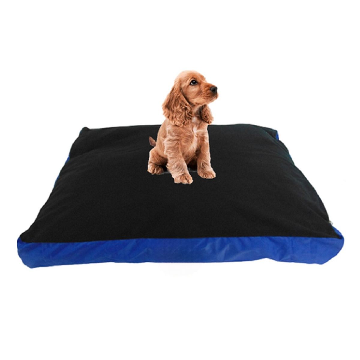 HALLY PET - Colchón lavable mediano Azul Claro