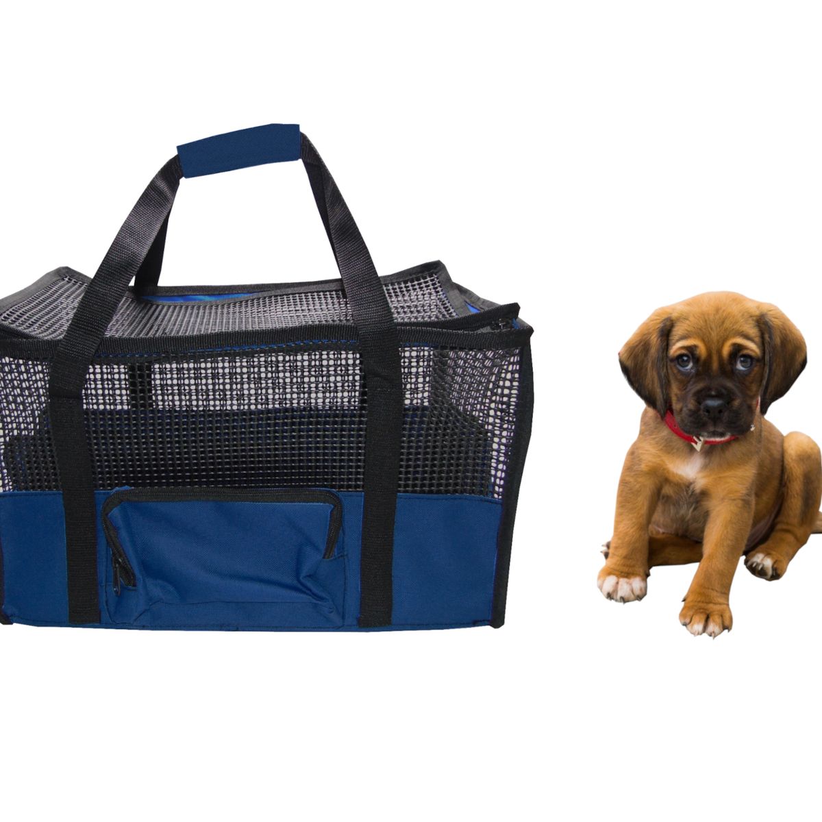 HALLY PET - Maletín cargador mediano 42 x 26 x 24 cm Azul Oscuro