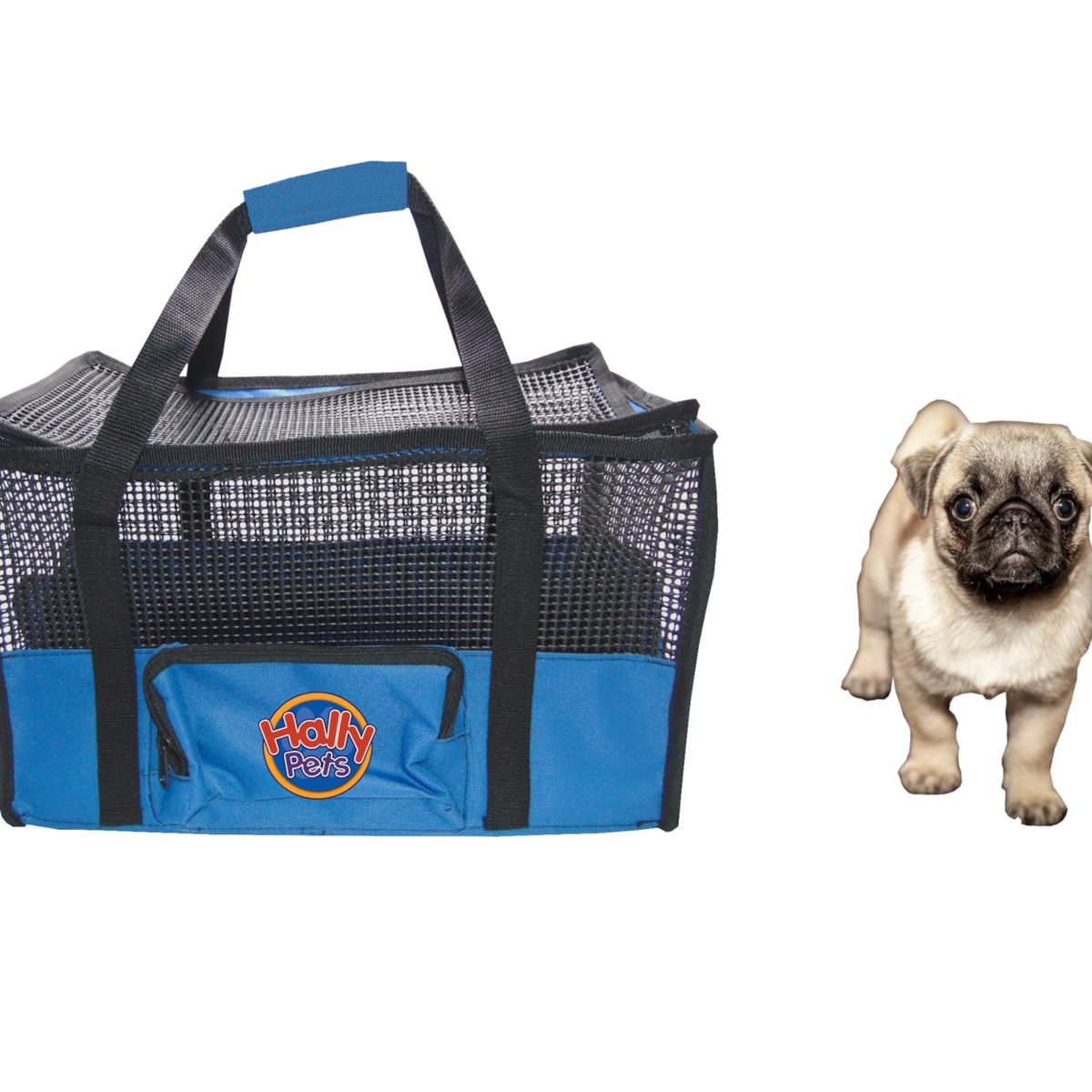 HALLY PET - Maletín cargador mediano 42 x 26 x 24 cm Azul Claro