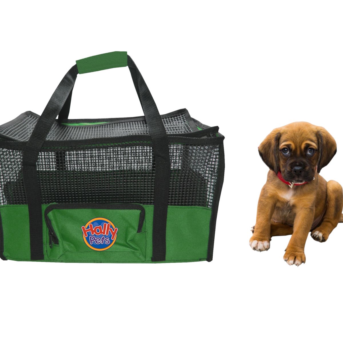 HALLY PET - Maletín cargador grande 54 x 30 x 24 cm Verde