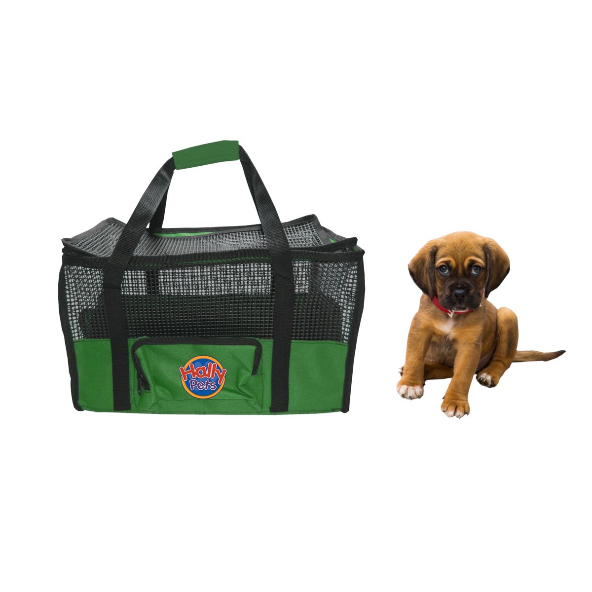 HALLY PET - Maletín cargador grande 54 x 30 x 24 cm Verde