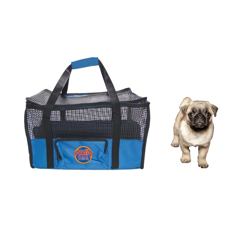HALLY PET - Maletín cargador grande 54 x 30 x 24 cm Azul Claro