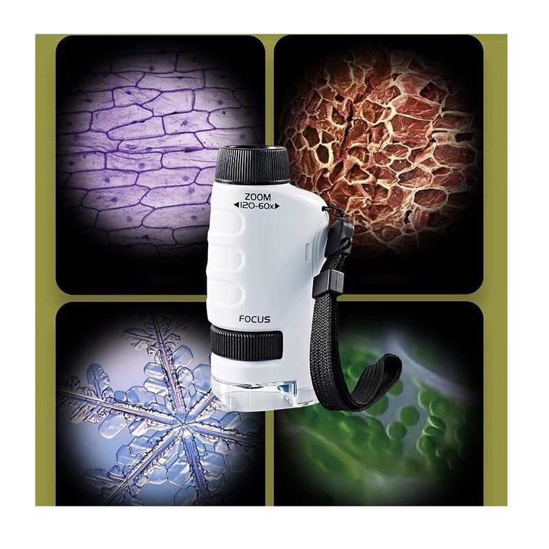 GENERICO - Microscopio Monocular Niños Educativo Kit De Bolsillo Juego