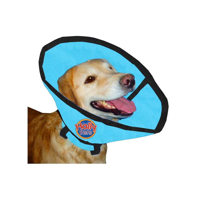 HALLY PET - Collar isabelino talla L Celeste.