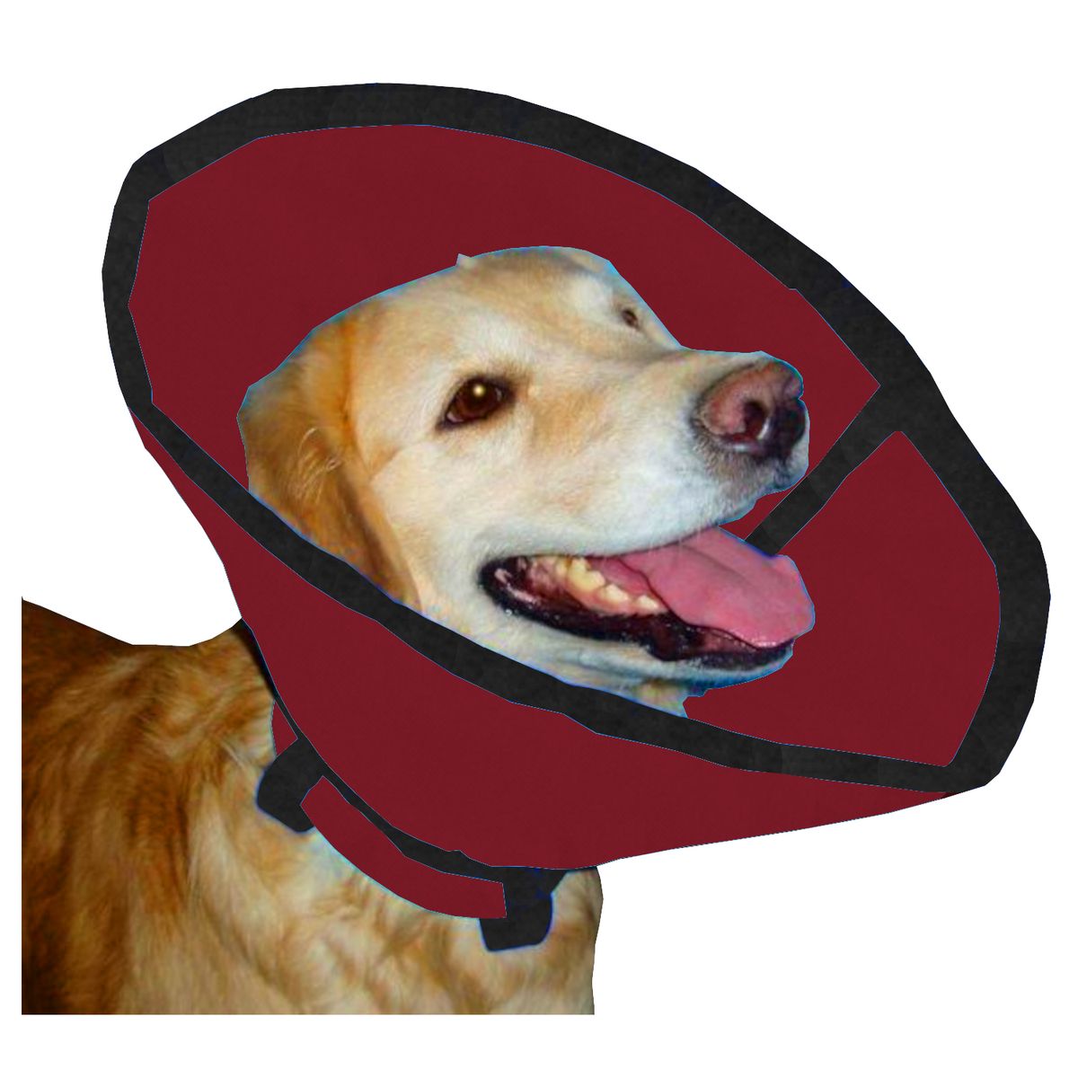 HALLY PET - Collar isabelino talla L Vinotinto