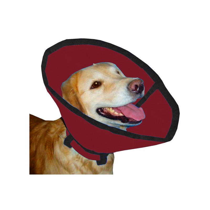 HALLY PET - Collar isabelino talla L Vinotinto