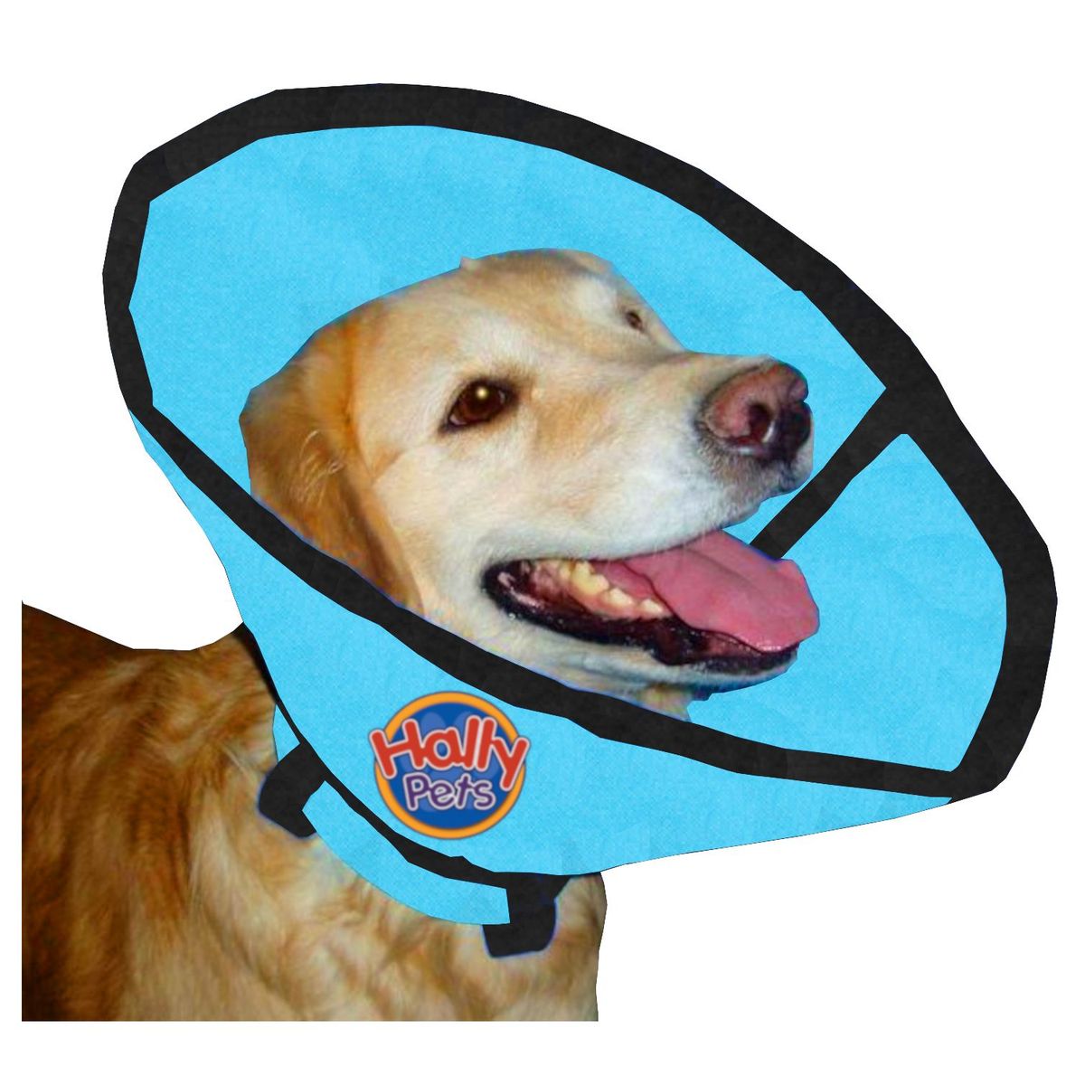 HALLY PET - Collar isabelino talla XL Celeste.