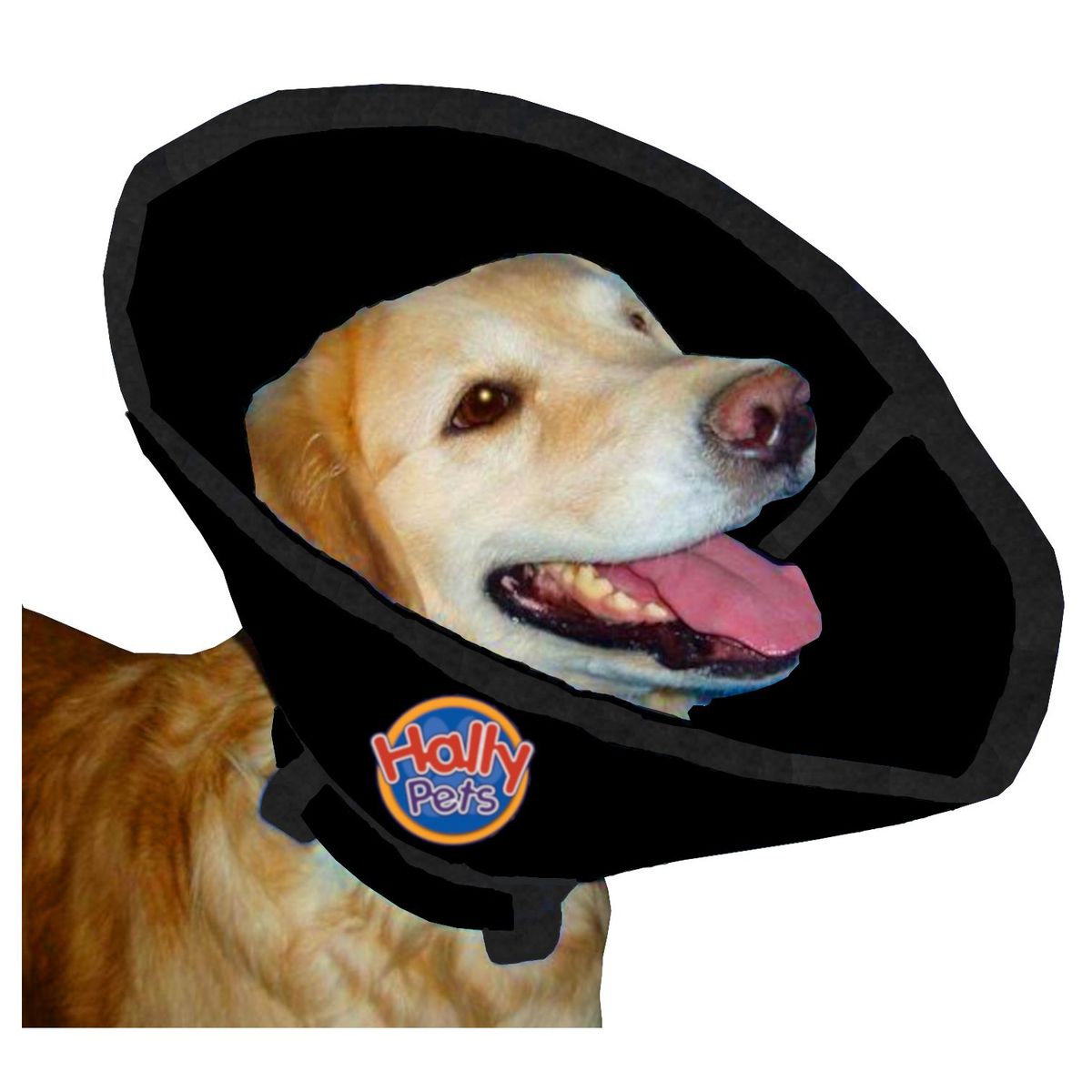 HALLY PET - Collar isabelino talla XL Negro.