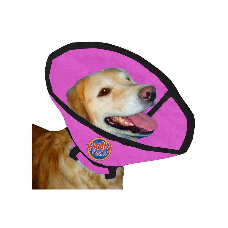 HALLY PET - Collar isabelino talla XL Rosado.