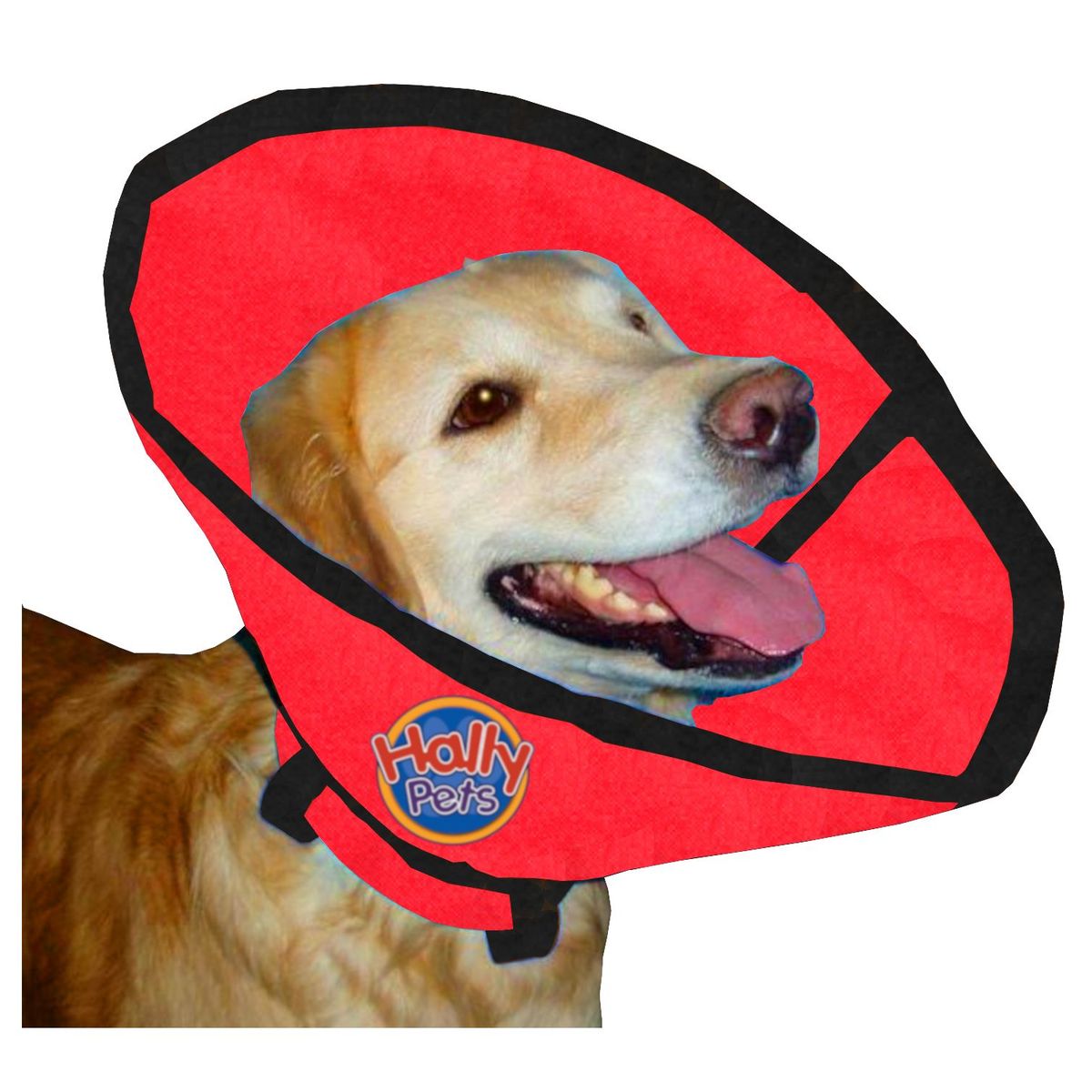 HALLY PET - Collar isabelino talla XL Rojo.