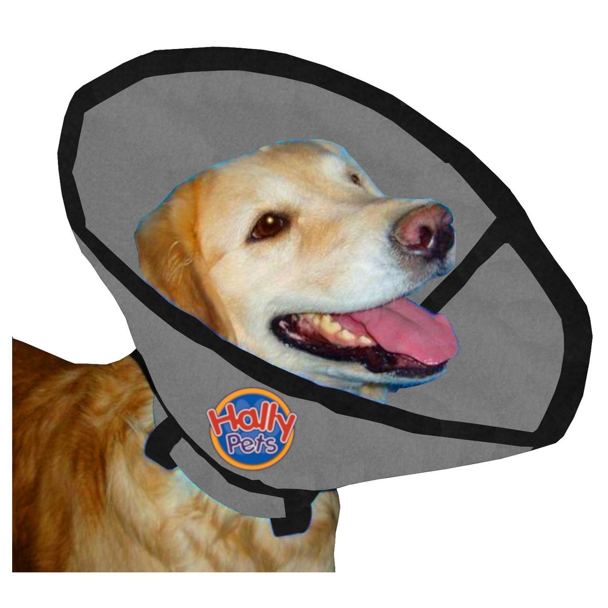 HALLY PET - Collar isabelino talla XL Gris.