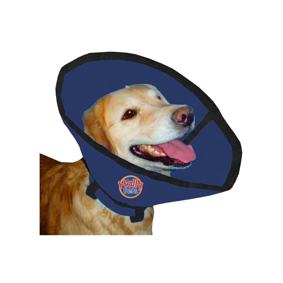 HALLY PET - Collar isabelino talla XL Azul Oscuro.