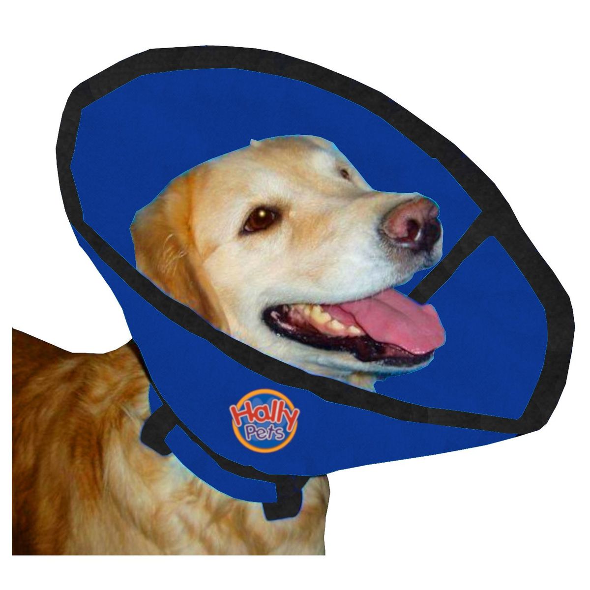 HALLY PET - Collar isabelino talla XL Azul Claro.
