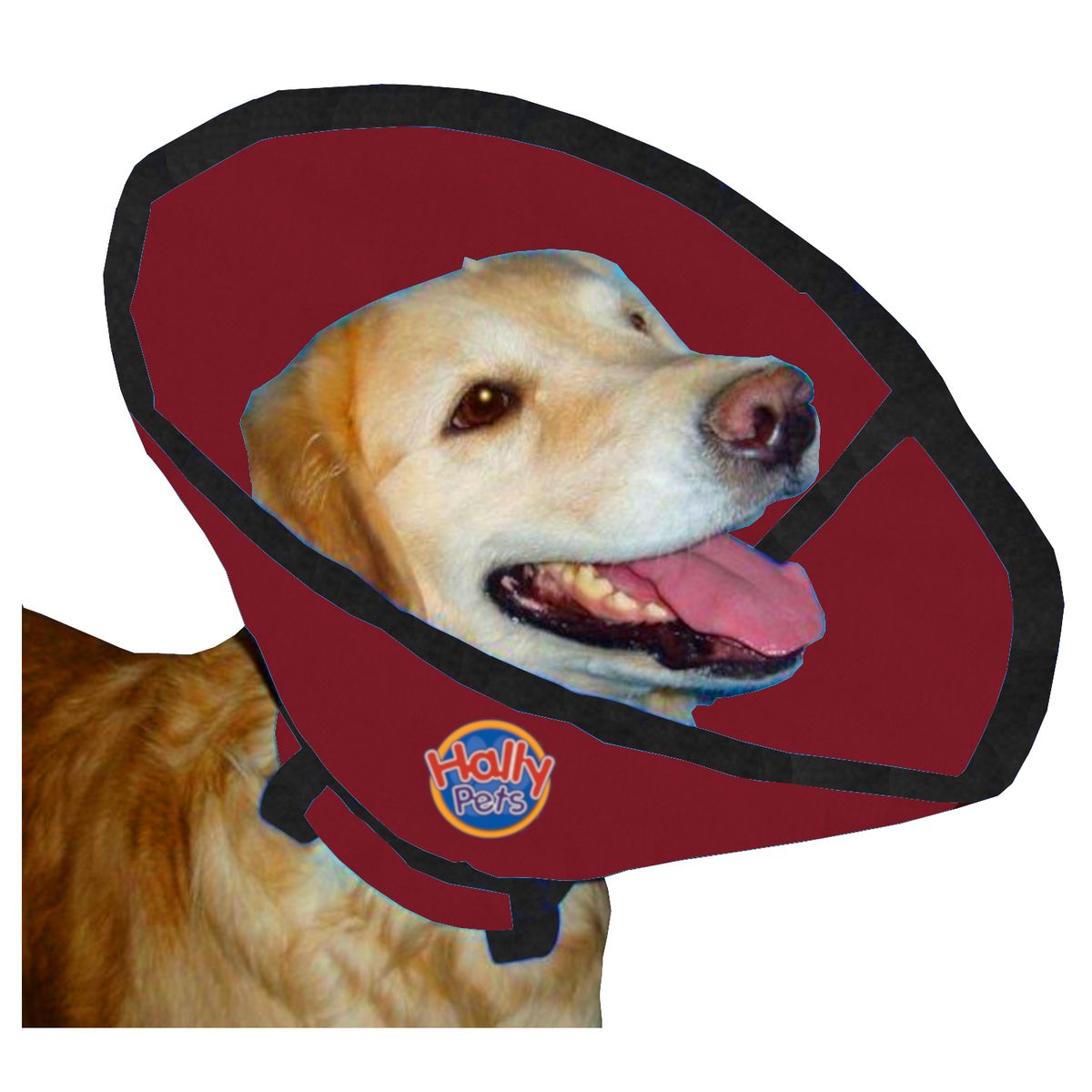HALLY PET - Collar isabelino talla XL Vinotinto.