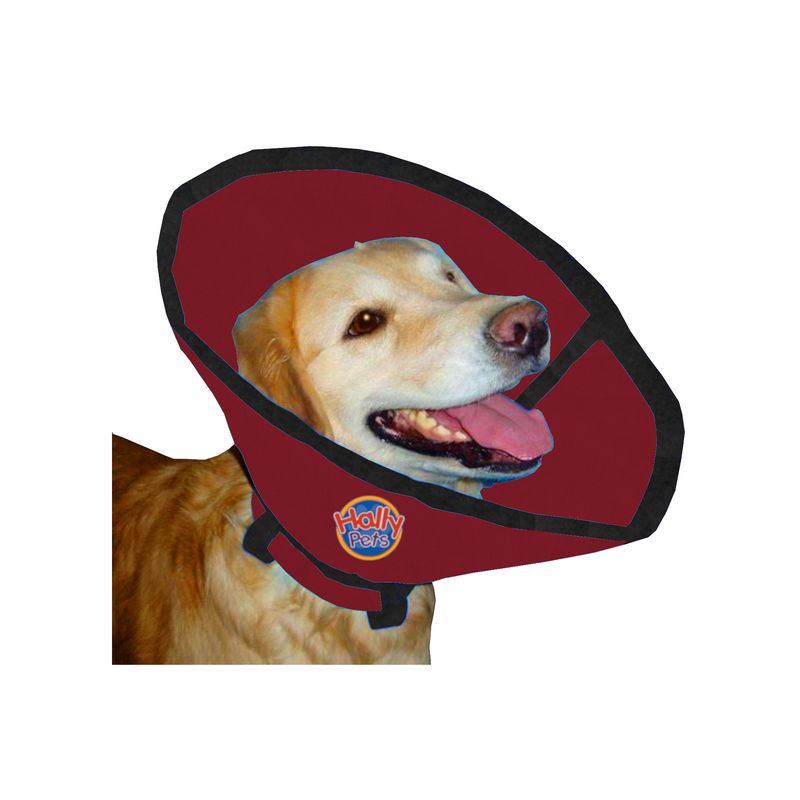 HALLY PET - Collar isabelino talla XL Vinotinto.