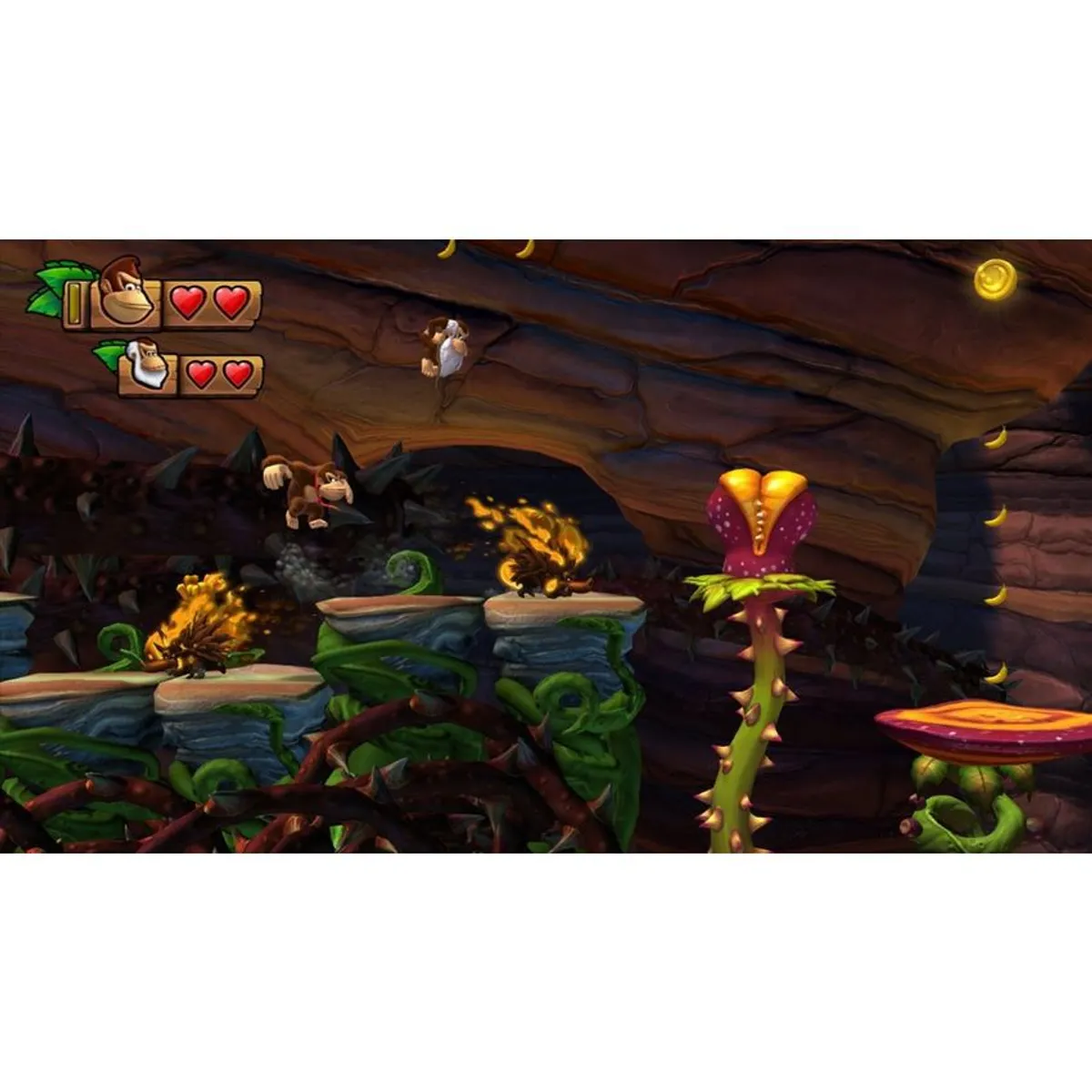 NINTENDO - Donkey kong country tropical freeze - nintendo wii u