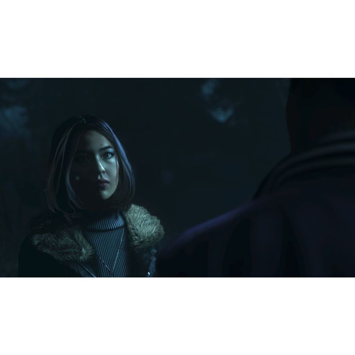 SONY - Until dawn - playstation 4