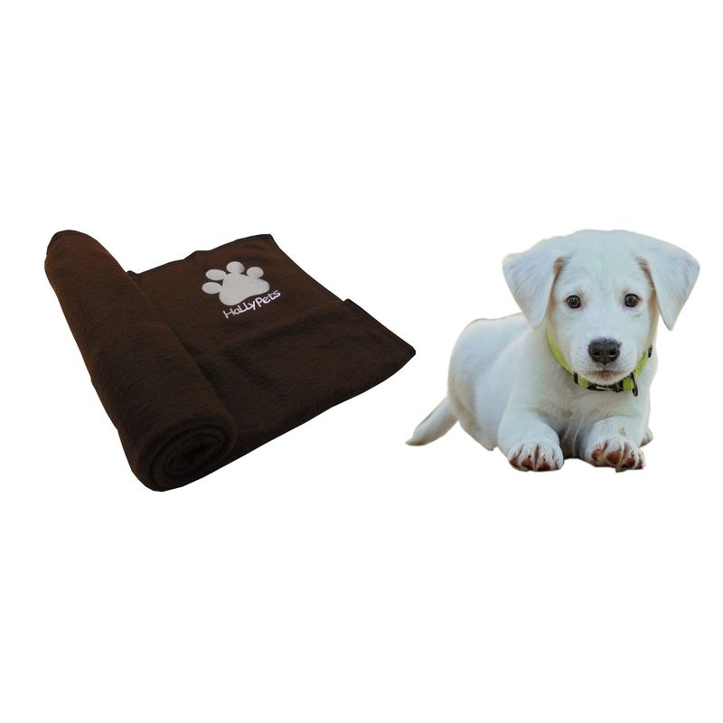 HALLY PET - Una cobija térmica mediana 70 cm x 70 cm Marron.