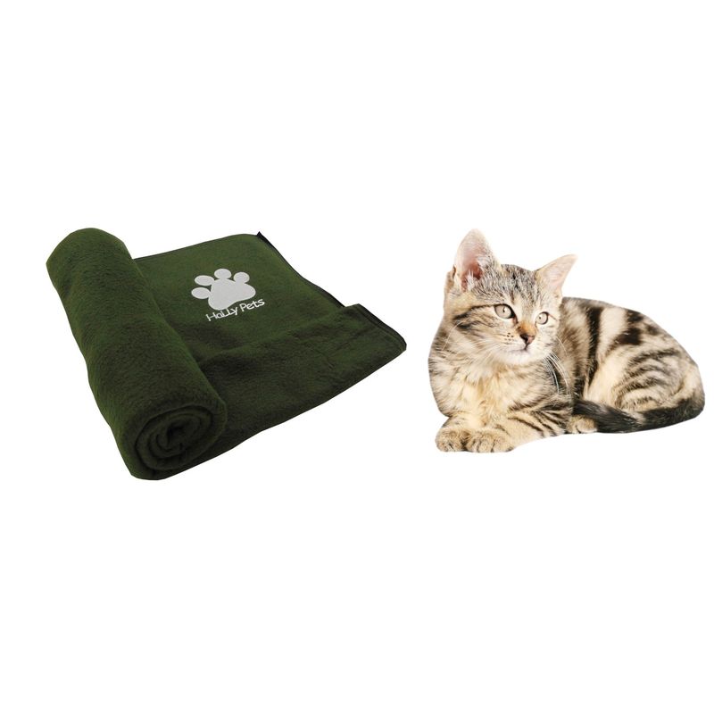 HALLY PET - Una cobija térmica grande 120 cm x 70 cm Verde.