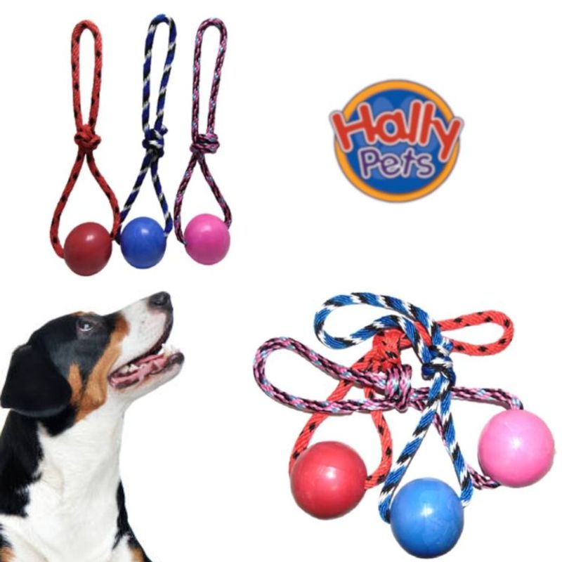 HALLY PET - Juguete para perro pelota maciza pequeña con cuerda.