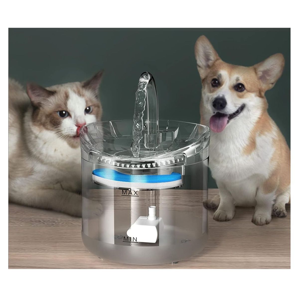 TELEPRODUCTOSBOGOTA - Fuente Para Gato Bebedero Para Mascotas