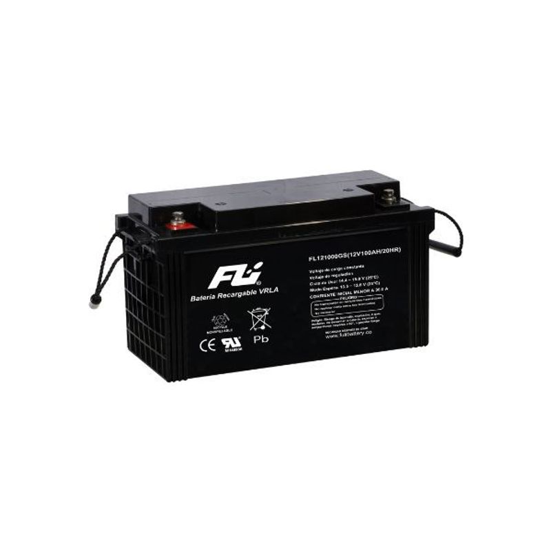 FULIBATTERY - Baterías Sellada 12V-100AH Fulibattery