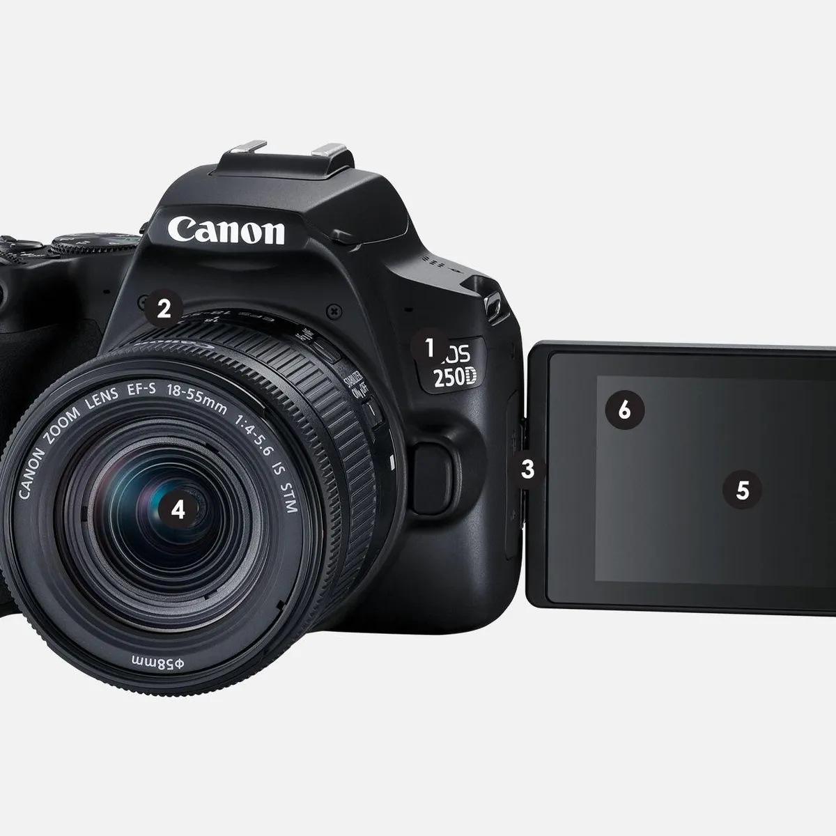 CANON - Canon EOS Kit 250D  lente 18-55mm f4-56 IS STM DSLR