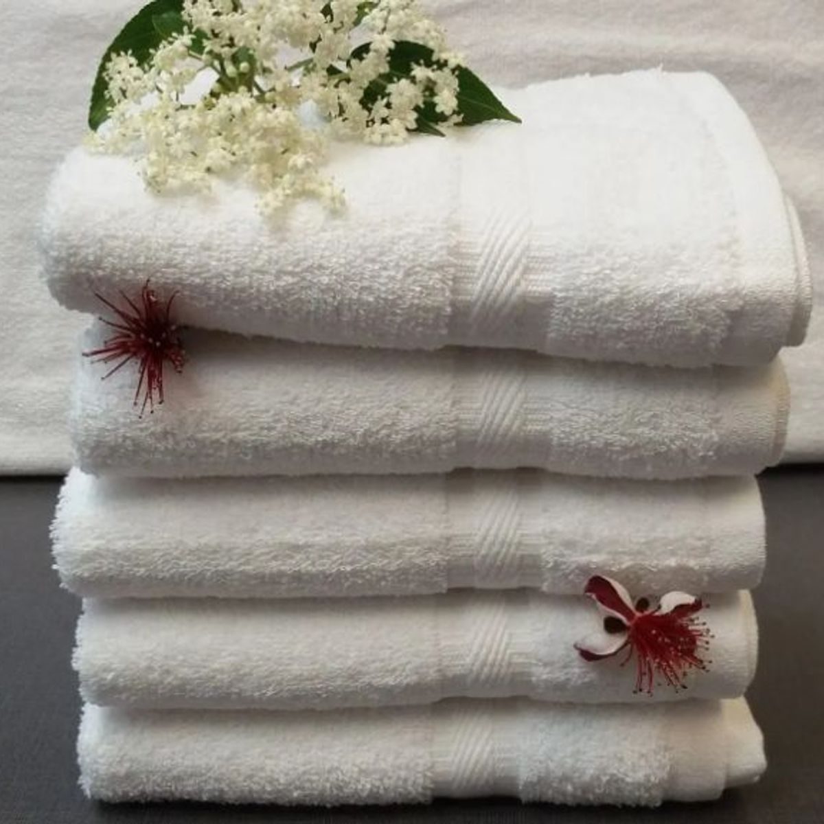 CANNON - 6 toallas de manos 100%algodón promoción