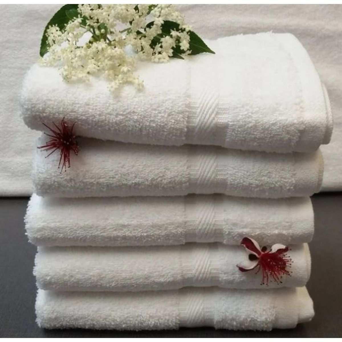 CANNON - 6 toallas de manos 100%algodón promoción