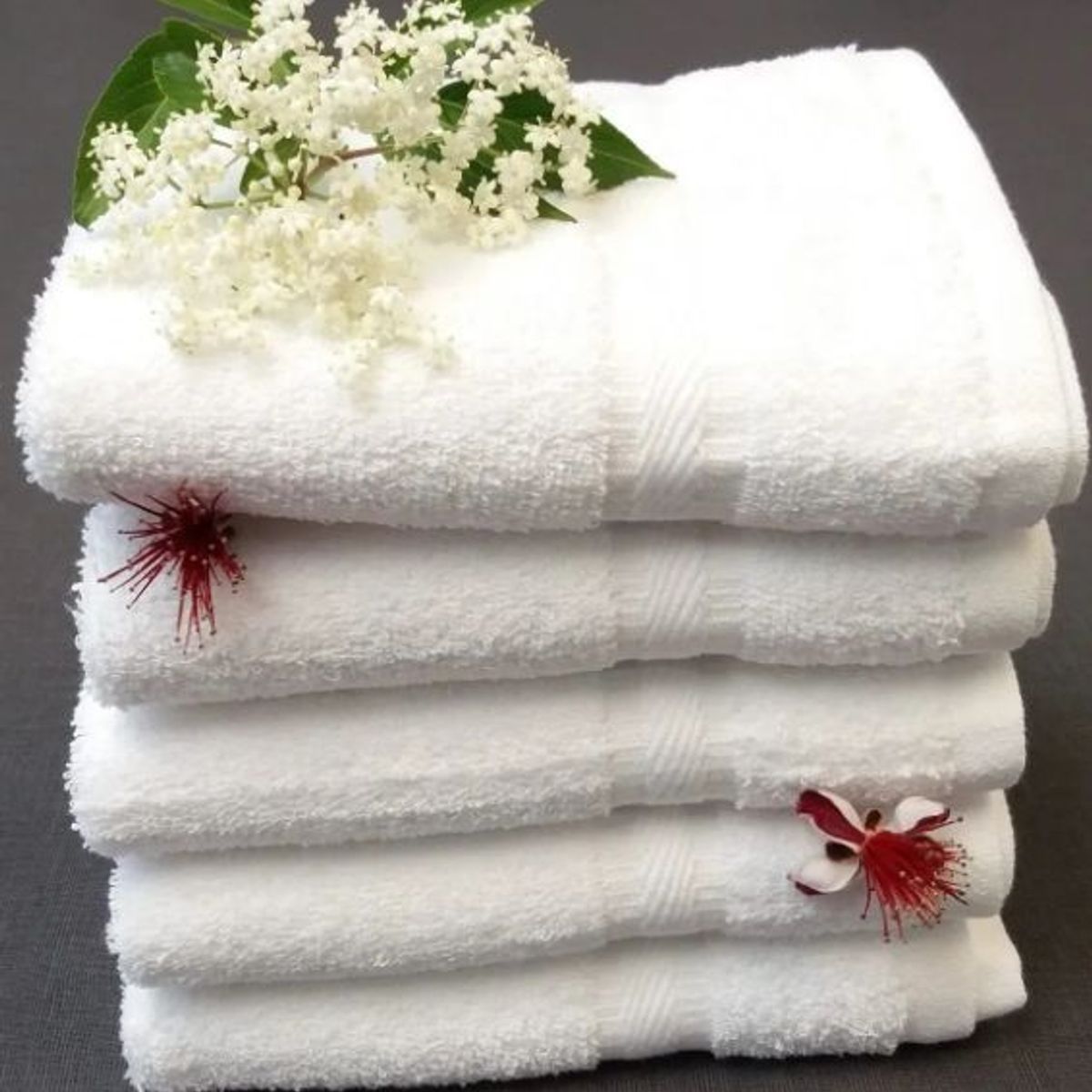 CANNON - 6 toallas de manos 100%algodón promoción