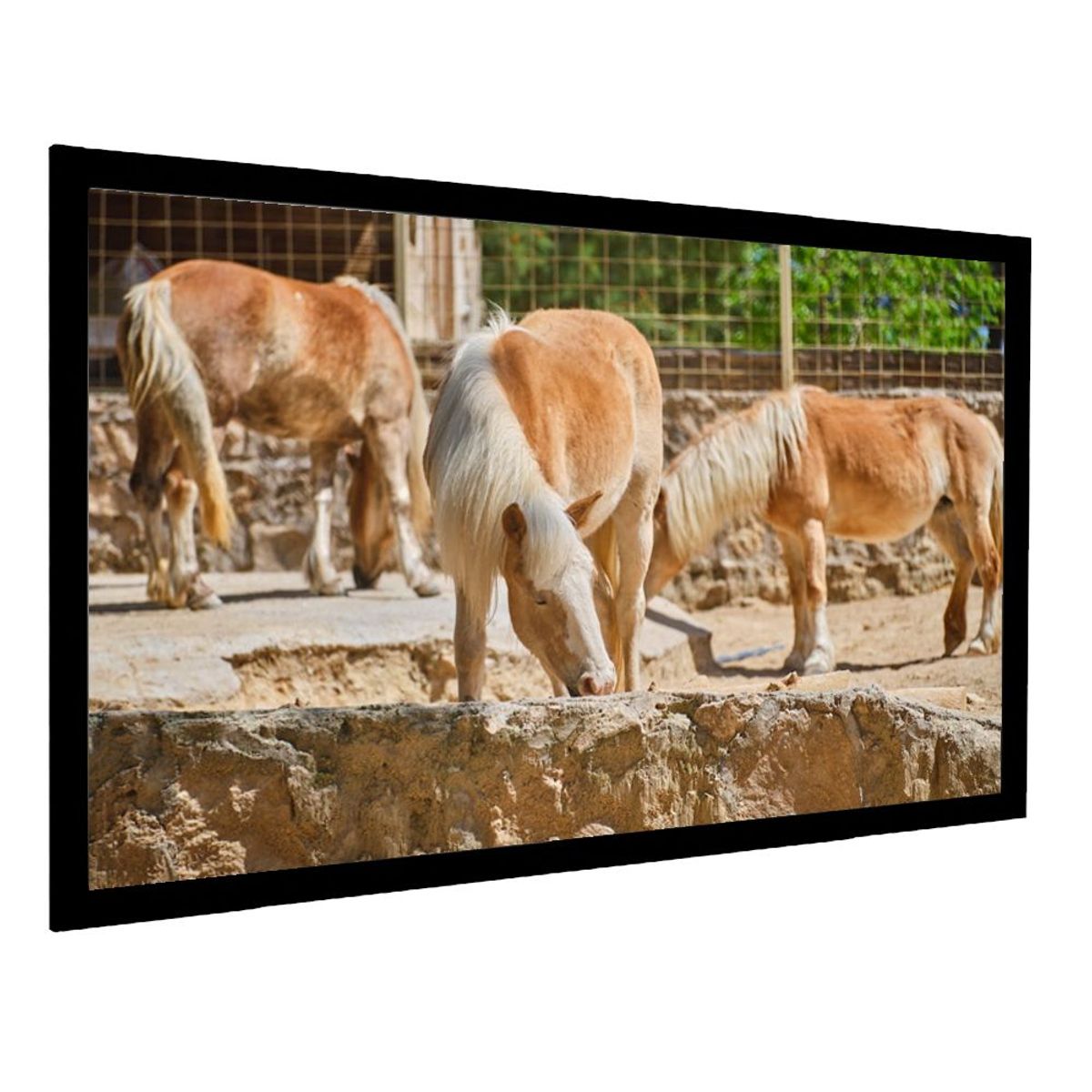 CINEX - Pantalla Marco De Lujo Cinex 205 X 116 Telón Formato 16:9