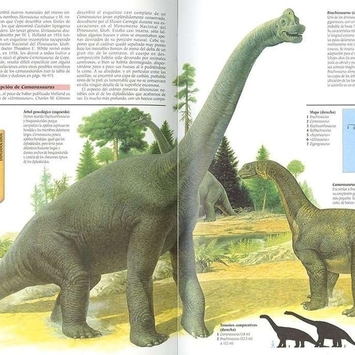 SUSAETA - Atlas Ilustrado De Los Dinosaurios