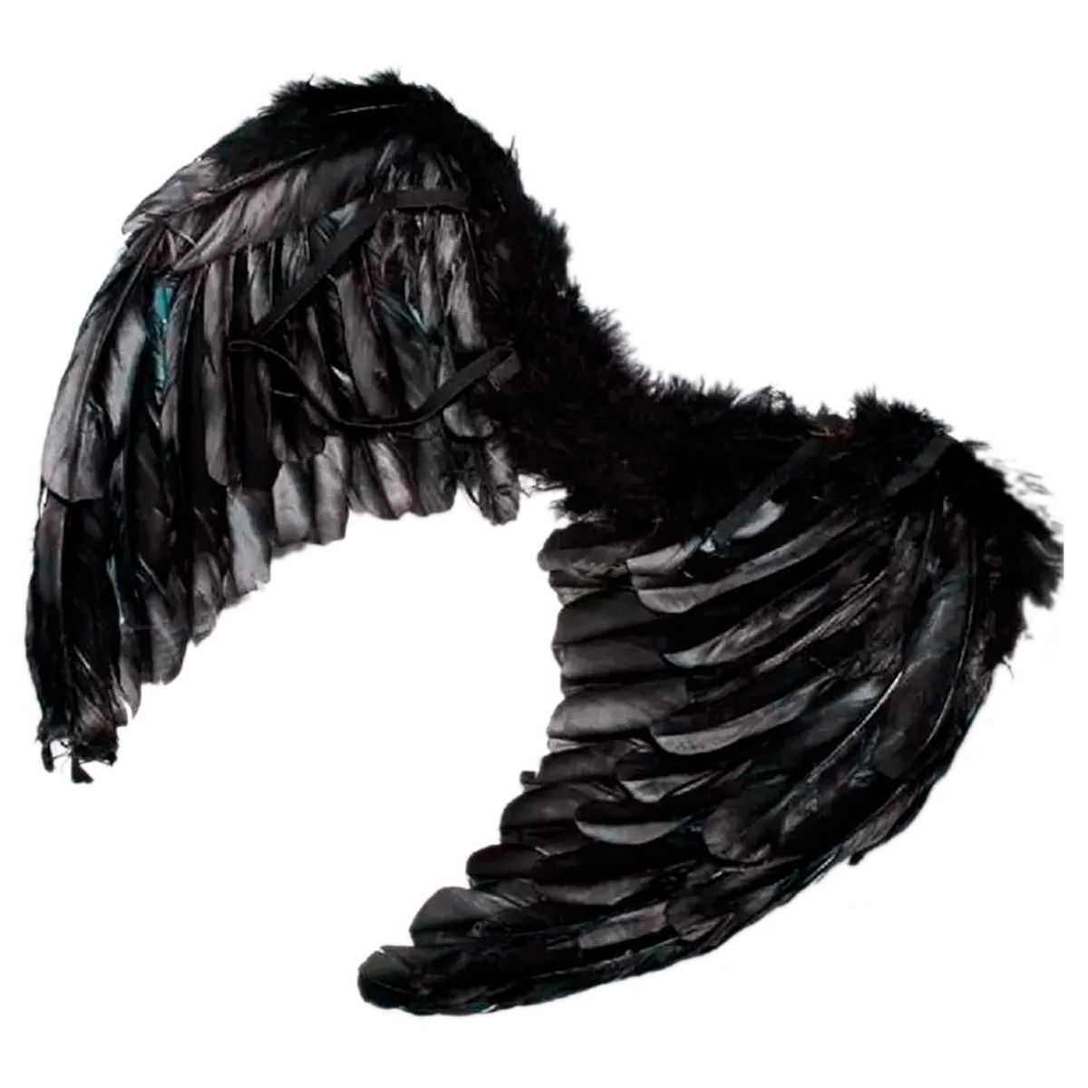 GENERICO - Disfraz Alas Ángel Plumas Mp295 55x40cm Halloween