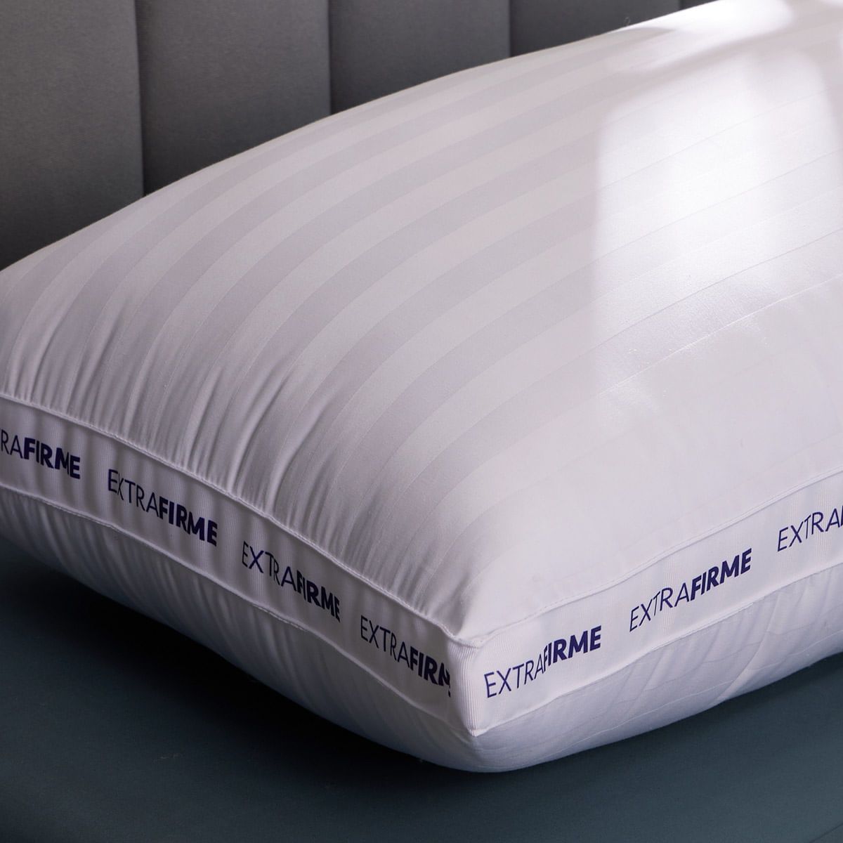 DISTRIHOGAR - Almohada (+) Plus Extrafirme Algodón Poliéster 48 x 70 cm