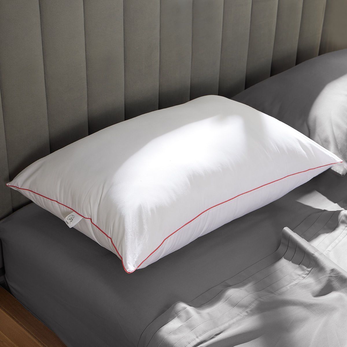 DISTRIHOGAR - Almohada Comfort (+) Plus Soporte Firme Algodón 50 x 70 cm