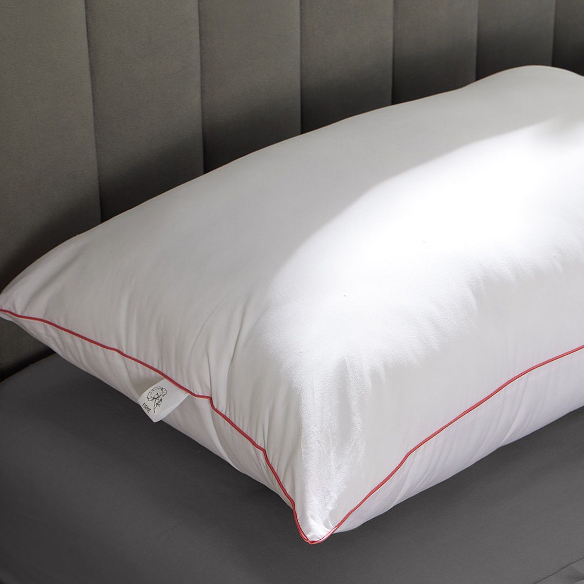 DISTRIHOGAR - Almohada Comfort (+) Plus Soporte Firme Algodón 50 x 70 cm