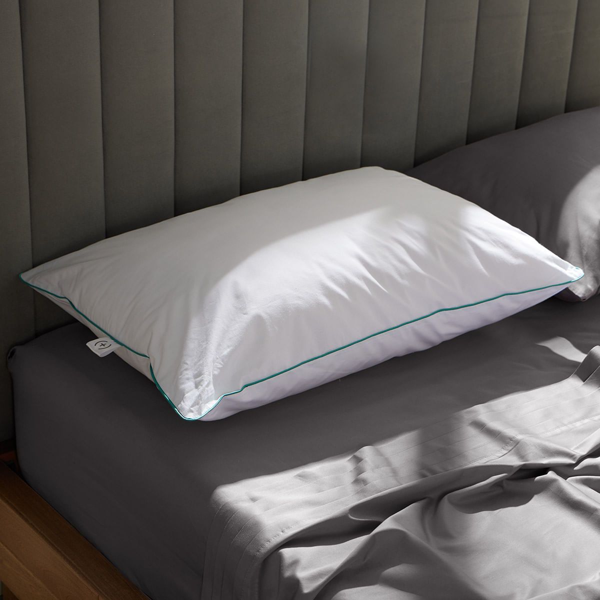 DISTRIHOGAR - Almohada Comfort (+) Plus Soporte Suave Algodón 50 x 70 cm