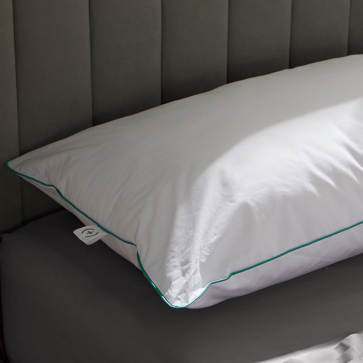 DISTRIHOGAR - Almohada Comfort (+) Plus Soporte Suave Algodón 50 x 70 cm