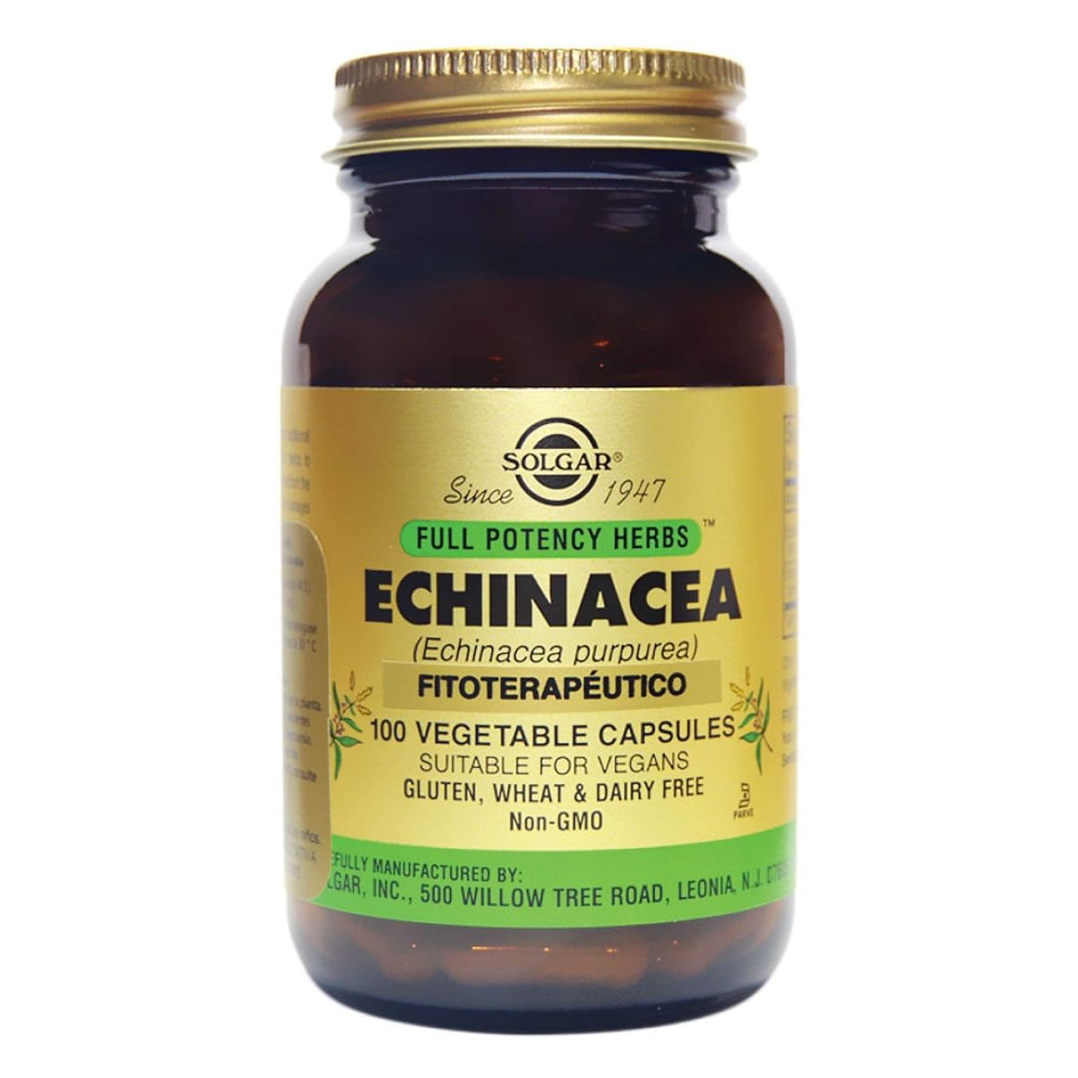 SOLGAR - Echinacea Solgar X 100 Capsulas