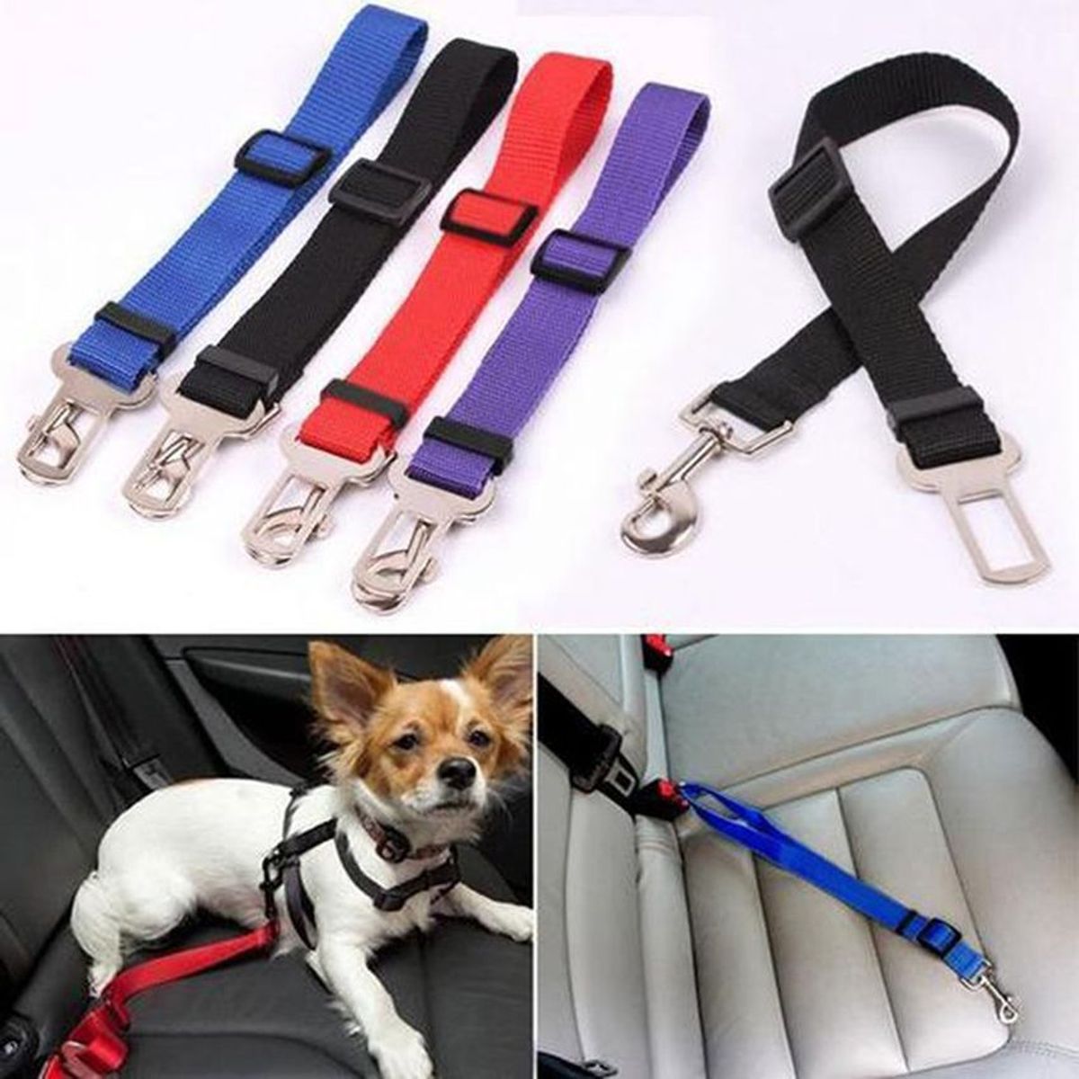 GENERICO - Mascota cinturón de seguridad automóvil perro o gato azul