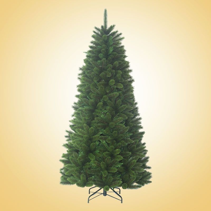 BURICA - Arbol Rossmoor 2.40 Mt Verde
