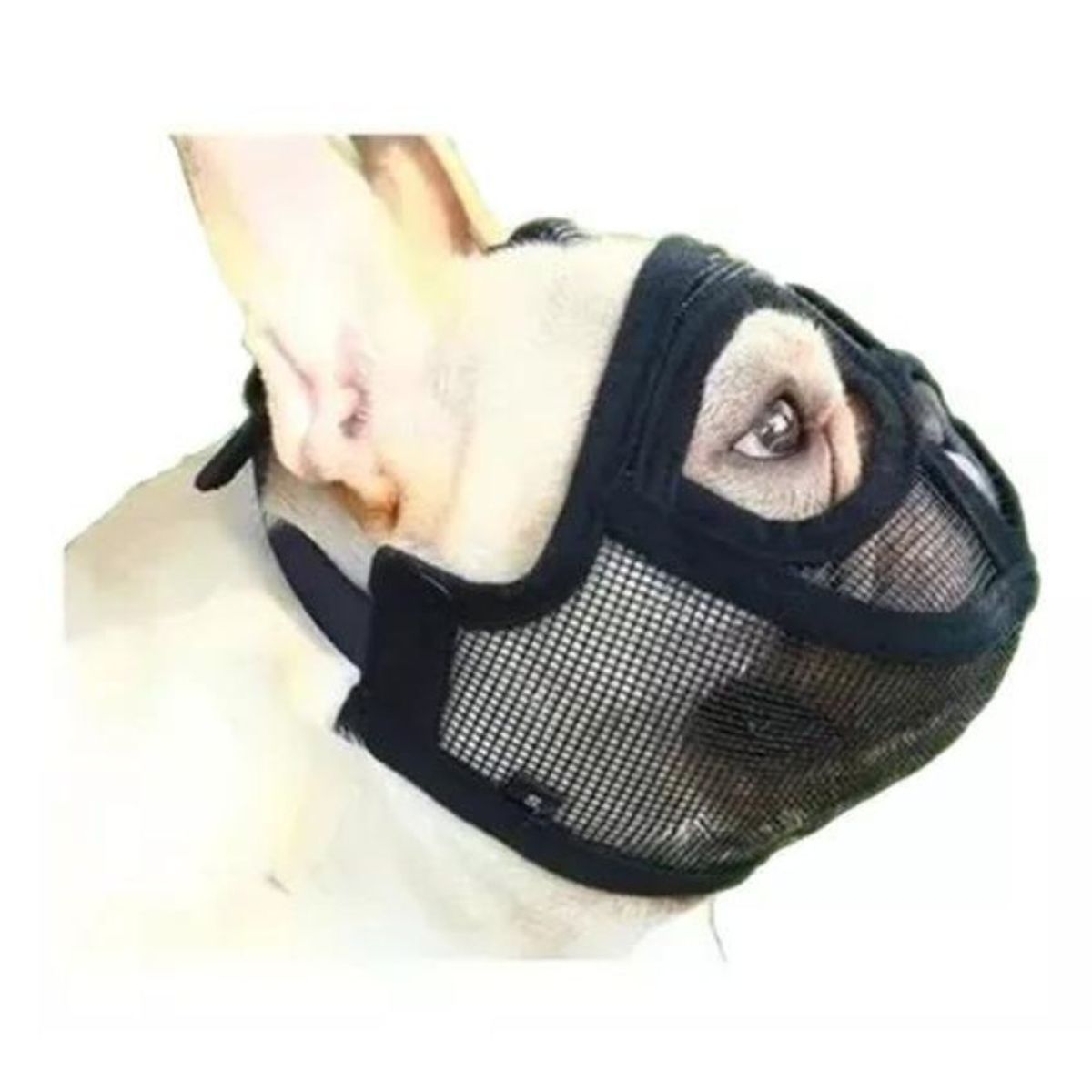 AFM - Bozal Perros Ñatos Bulldog Frances TALLA M