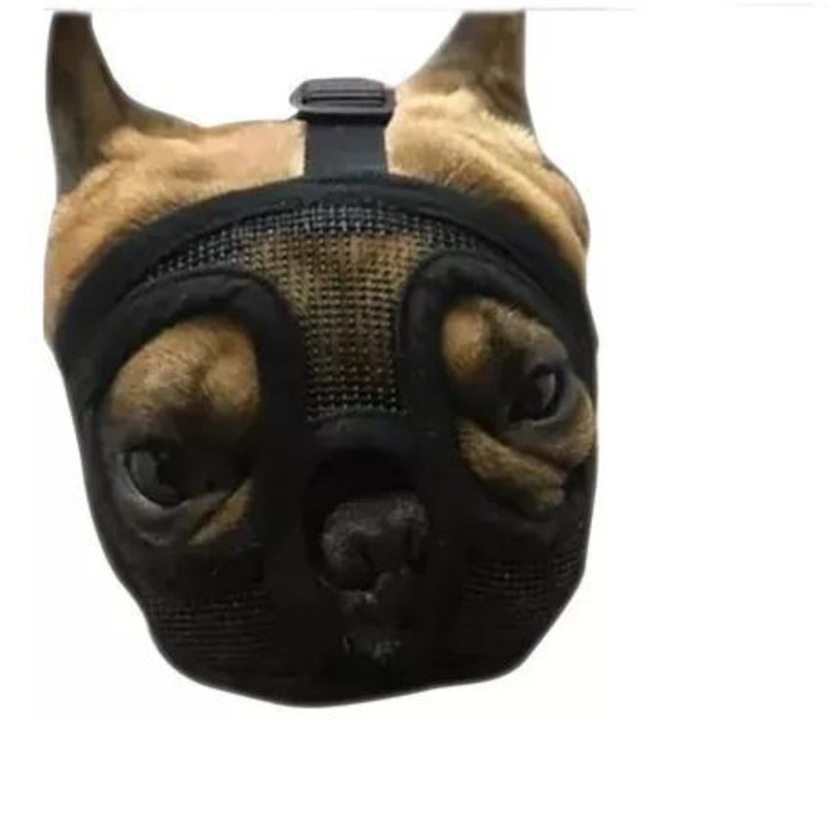 AFM - Bozal Perros Ñatos Bulldog Frances TALLA M