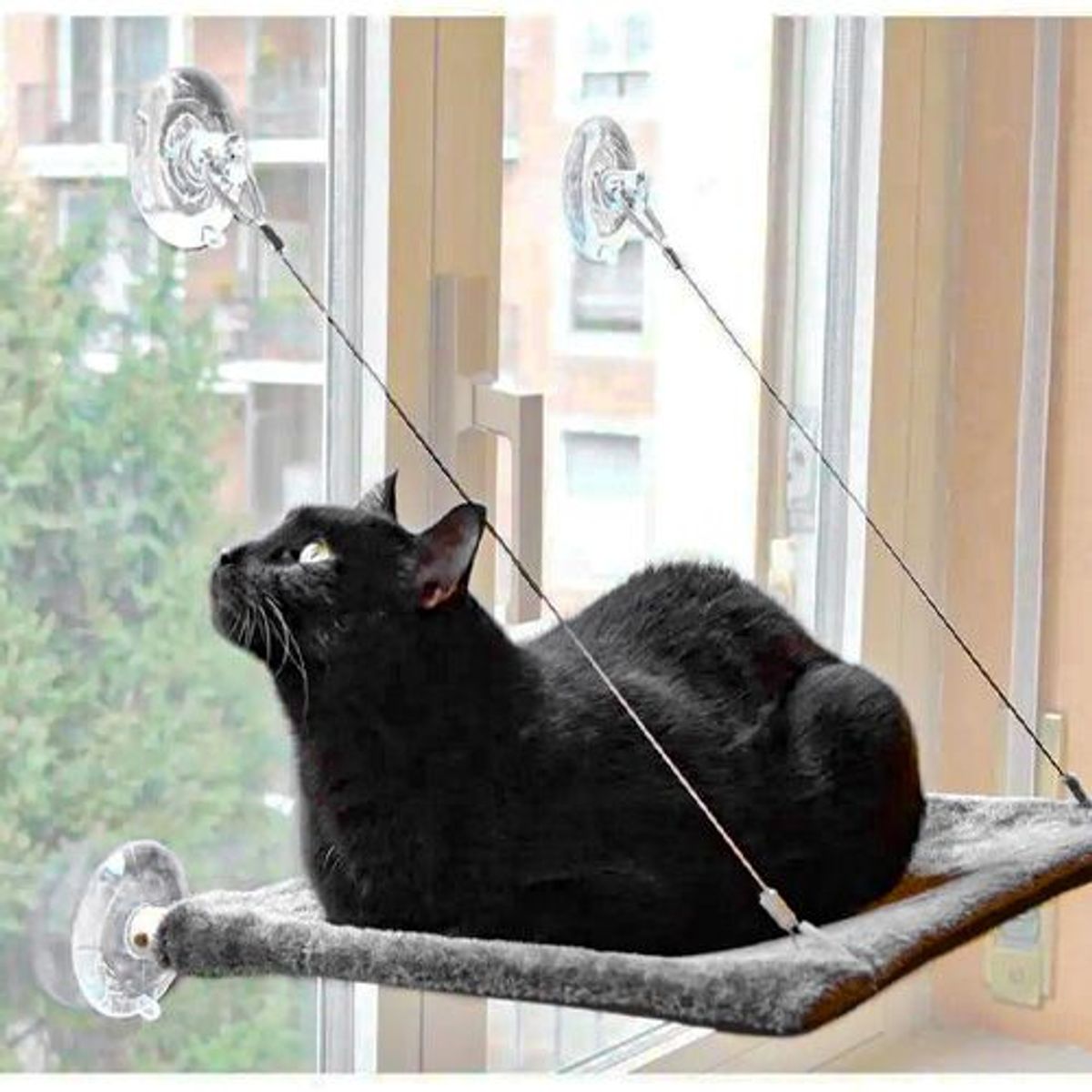 ARGOS - Argos - Cama Asoleadora en ventana